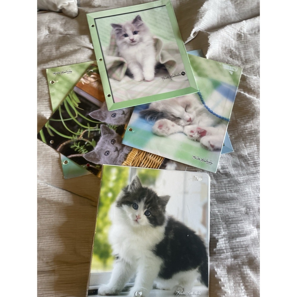 Vintage Y2K Class Act Keith Kimberlin School Binder & 6 Kitten Folders‎ Retro